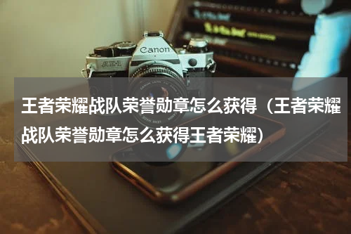 王者荣耀战队荣誉勋章怎么获得(王者荣耀战队荣誉勋章怎么获得王者荣耀)