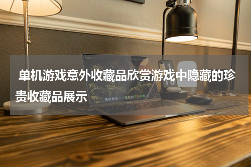  单机游戏意外收藏品欣赏游戏中隐藏的珍贵收藏品展示