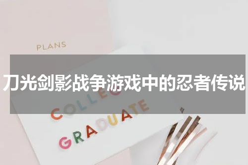 刀光剑影战争游戏中的忍者传说