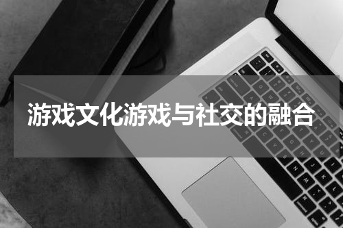 游戏文化游戏与社交的融合