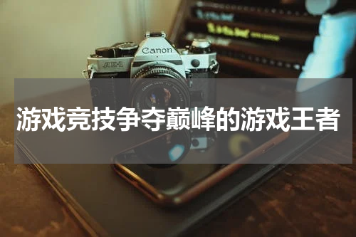 游戏竞技争夺巅峰的游戏王者