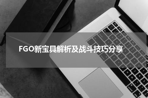 FGO新宝具解析及战斗技巧分享