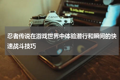 忍者传说在游戏世界中体验潜行和瞬间的快速战斗技巧