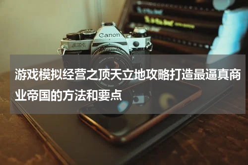 游戏模拟经营之顶天立地攻略打造最逼真商业帝国的方法和要点
