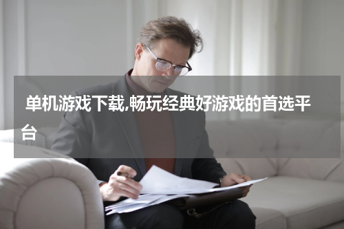  单机游戏下载,畅玩经典好游戏的首选平台