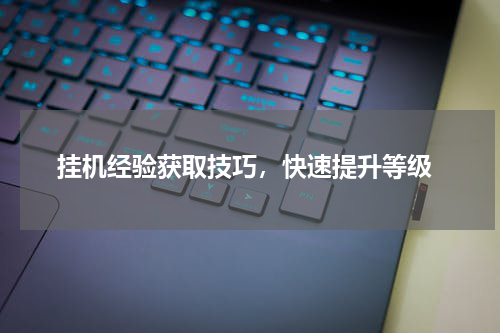 挂机经验获取技巧,快速提升等级