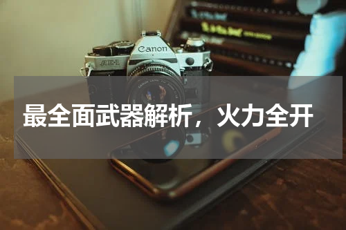 最全面武器解析,火力全开