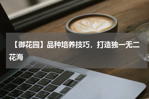 【御花园】品种培养技巧,打造独一无二花海