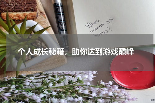 个人成长秘籍,助你达到游戏巅峰