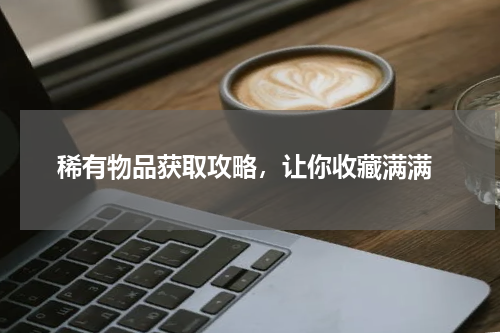 稀有物品获取攻略,让你收藏满满