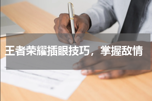 王者荣耀插眼技巧,掌握敌情