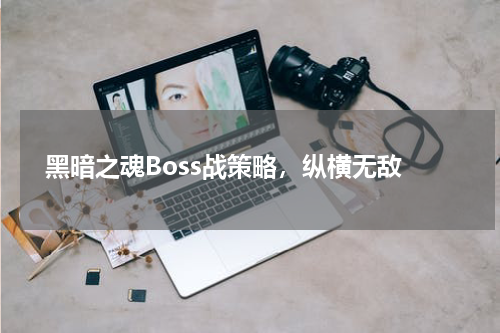 黑暗之魂Boss战策略,纵横无敌