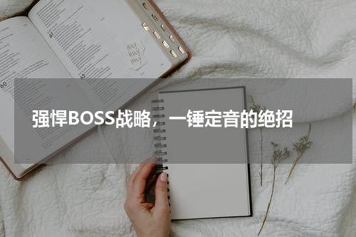 强悍BOSS战略,一锤定音的绝招