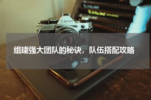  组建强大团队的秘诀，队伍搭配攻略