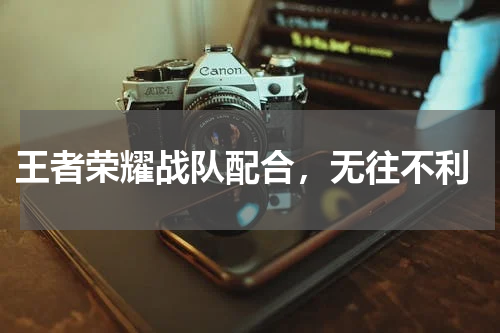 王者荣耀战队配合,无往不利
