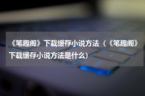 《笔趣阁》下载缓存小说方法（《笔趣阁》下载缓存小说方法是什么）