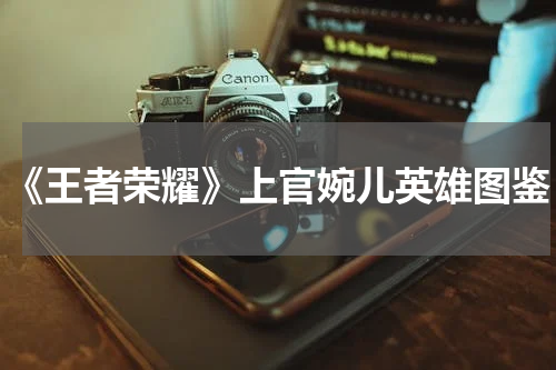 《王者荣耀》上官婉儿英雄图鉴