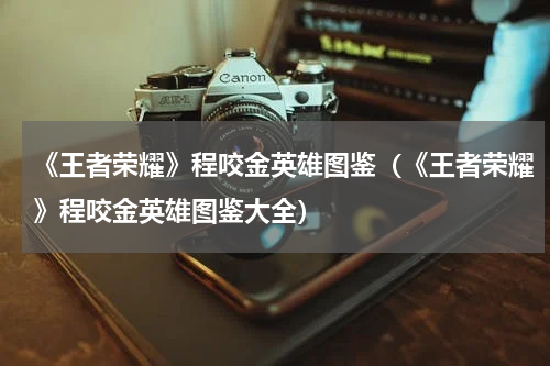 《王者荣耀》程咬金英雄图鉴（《王者荣耀》程咬金英雄图鉴大全）