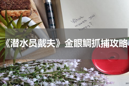 《潜水员戴夫》金眼鲷抓捕攻略