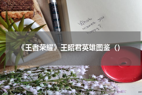 《王者荣耀》王昭君英雄图鉴（）