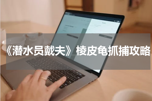 《潜水员戴夫》棱皮龟抓捕攻略