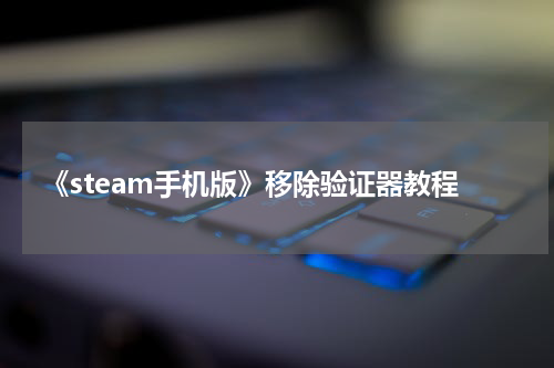 《steam手机版》移除验证器教程