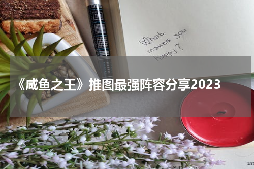 《咸鱼之王》推图最强阵容分享2023