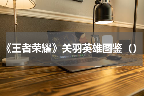 《王者荣耀》关羽英雄图鉴（）