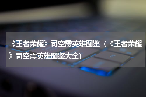 《王者荣耀》司空震英雄图鉴（《王者荣耀》司空震英雄图鉴大全）