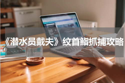 《潜水员戴夫》纹首鮨抓捕攻略