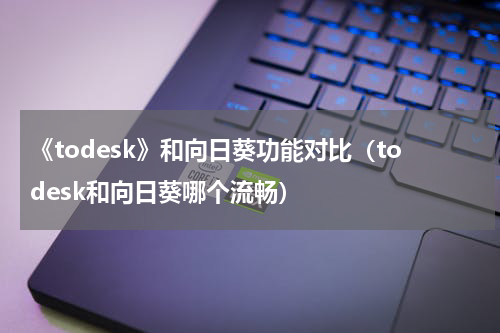 《todesk》和向日葵功能对比（todesk和向日葵哪个流畅）
