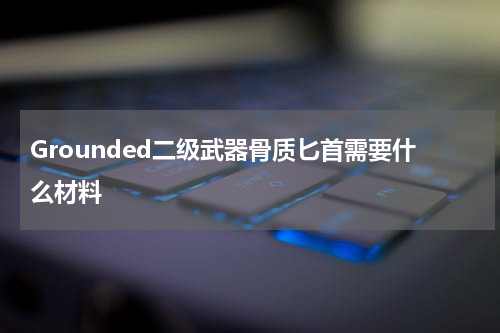 Grounded二级武器骨质匕首需要什么材料