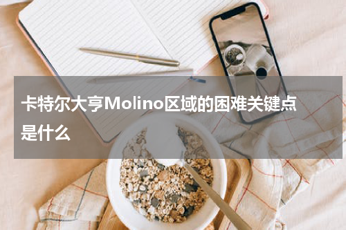 卡特尔大亨Molino区域的困难关键点是什么