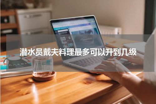 潜水员戴夫料理最多可以升到几级