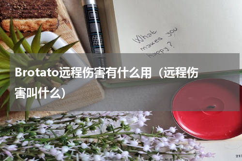 Brotato远程伤害有什么用（远程伤害叫什么）