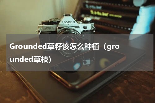 Grounded草籽该怎么种植（grounded草枝）