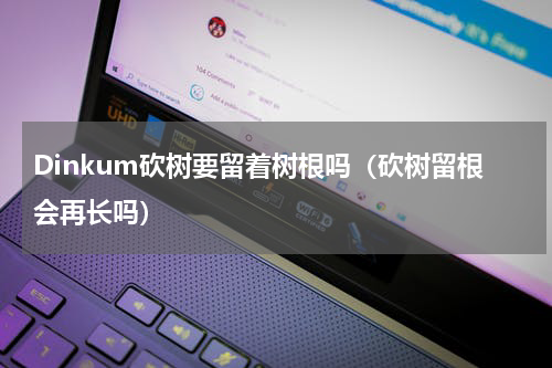 Dinkum砍树要留着树根吗（砍树留根会再长吗）