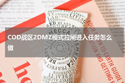 COD战区2DMZ模式拉闸进入任务怎么做
