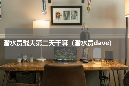 潜水员戴夫第二天干嘛（潜水员dave）