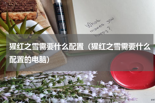 猩红之雪需要什么配置（猩红之雪需要什么配置的电脑）