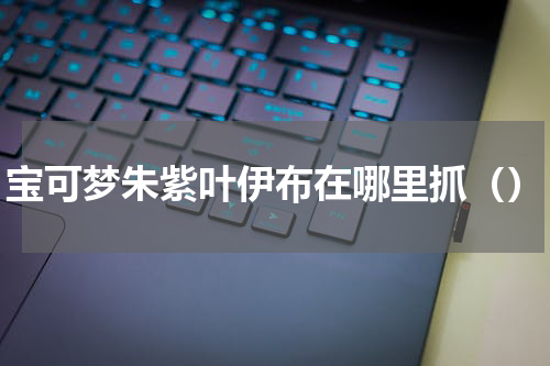 宝可梦朱紫叶伊布在哪里抓（）