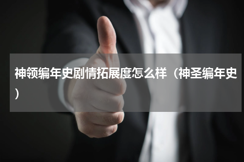 神领编年史剧情拓展度怎么样（神圣编年史）