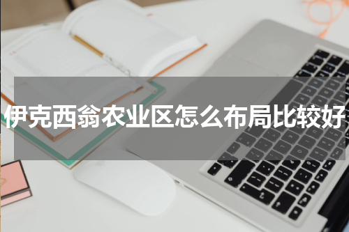 伊克西翁农业区怎么布局比较好