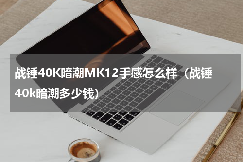 战锤40K暗潮MK12手感怎么样（战锤40k暗潮多少钱）