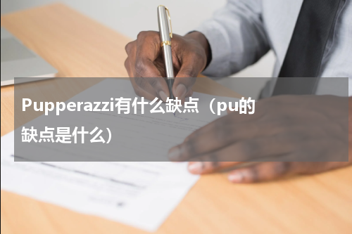 Pupperazzi有什么缺点（pu的缺点是什么）