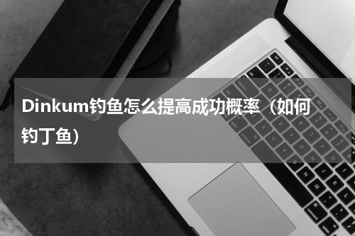 Dinkum钓鱼怎么提高成功概率（如何钓丁鱼）