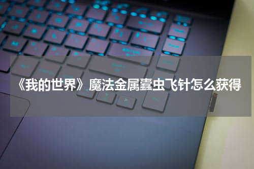 《我的世界》魔法金属蠹虫飞针怎么获得