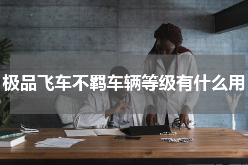 极品飞车不羁车辆等级有什么用