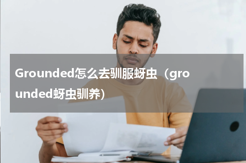 Grounded怎么去驯服蚜虫（grounded蚜虫驯养）