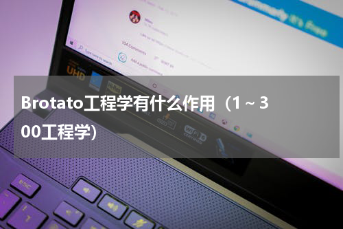 Brotato工程学有什么作用（1～300工程学）